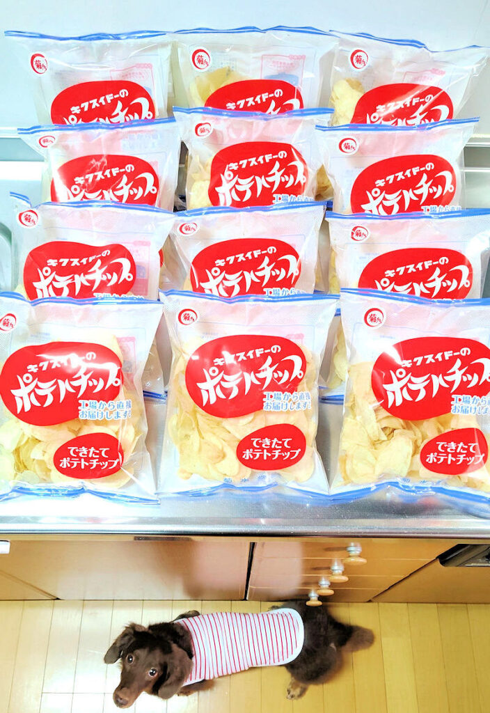 菊水堂のできたてポテトチップ12袋とレオン
