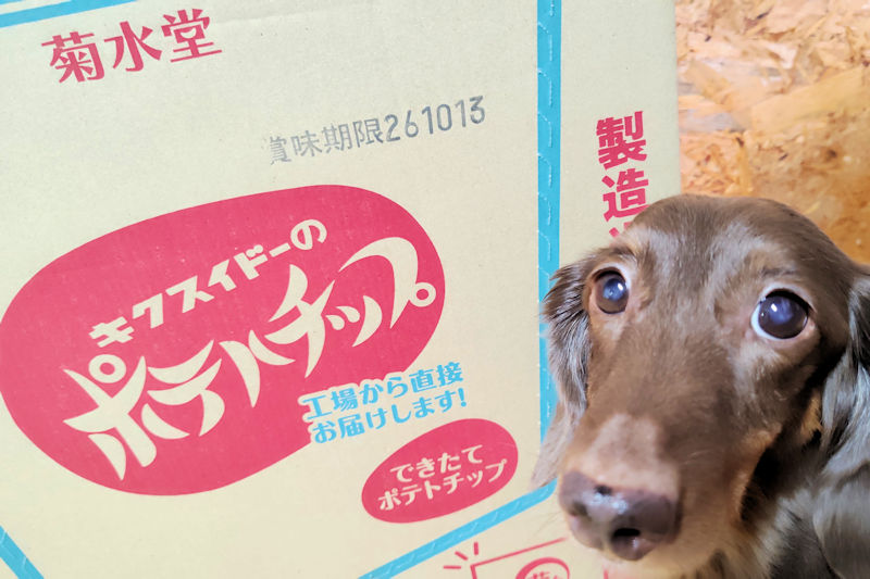 菊水堂のできたてポテトチップの箱に印字された賞味期限