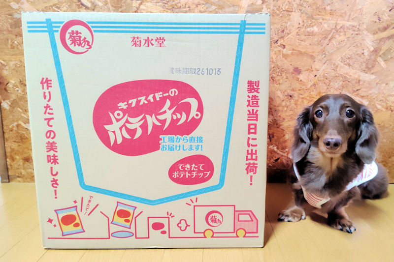 菊水堂のできたてポテトチップ大箱とレオン